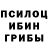 Псилоцибиновые грибы прущие грибы Volga NotTheRiver