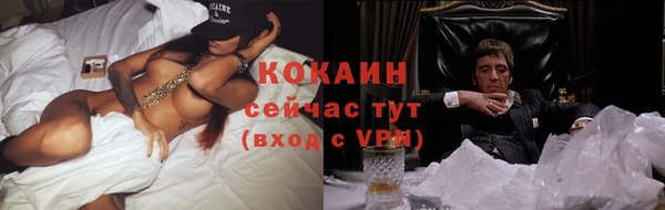 индика Лагань