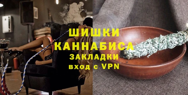 хмурый Няндома
