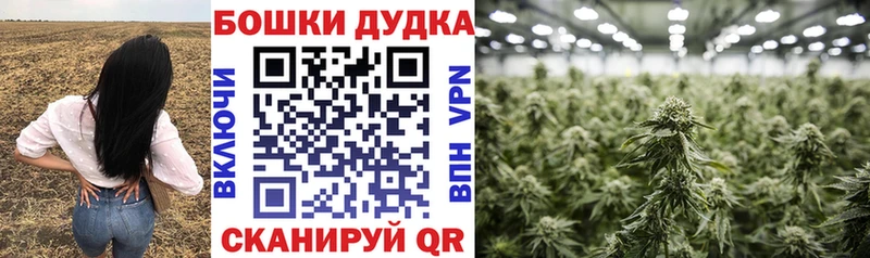 Каннабис THC 21%  Бийск 